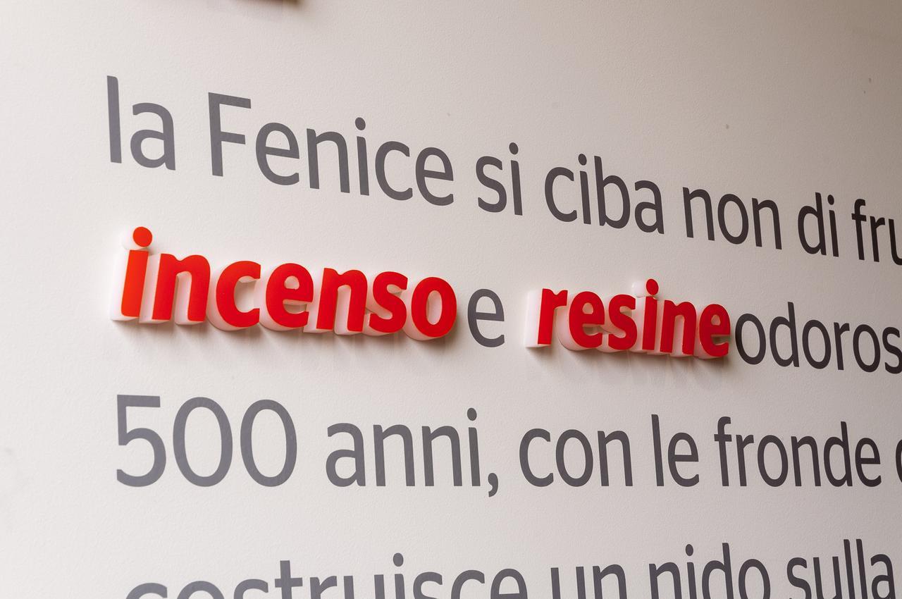 Villa Fenix Osio Sotto Zewnętrze zdjęcie